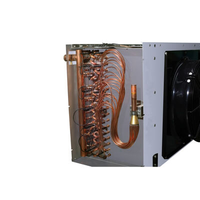 Factory Supply Cold Room Evaporator Air Cooler Dd Dl for Cold Room